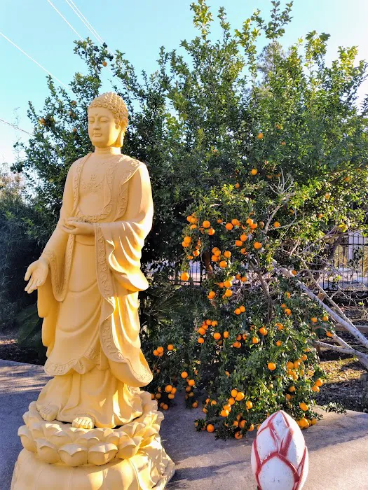 Long Term RV Park Picture 3