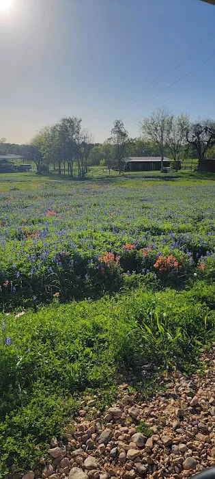 Texas Heritage RV Park Picture 3