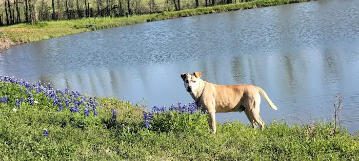 Texas Heritage RV Park Picture 6
