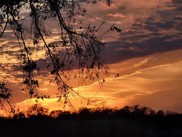 Texas Heritage RV Park Picture 9