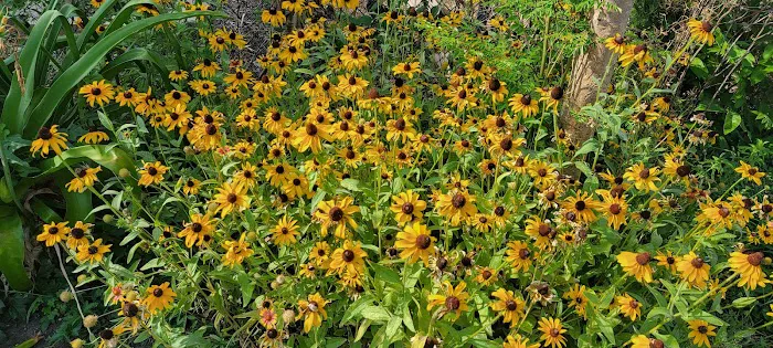 Texas Heritage RV Park Picture 8