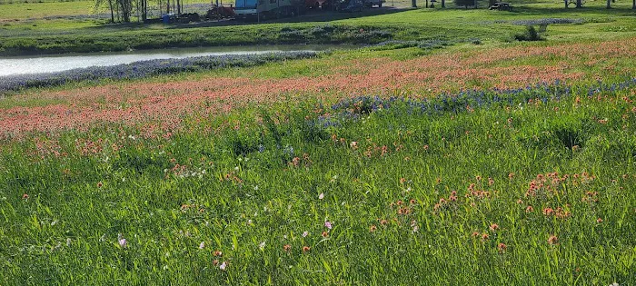 Texas Heritage RV Park Picture 10