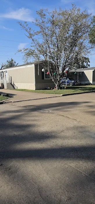 Western Pines Picture 2