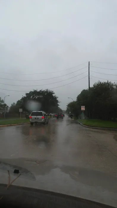 Western Pines Picture 5