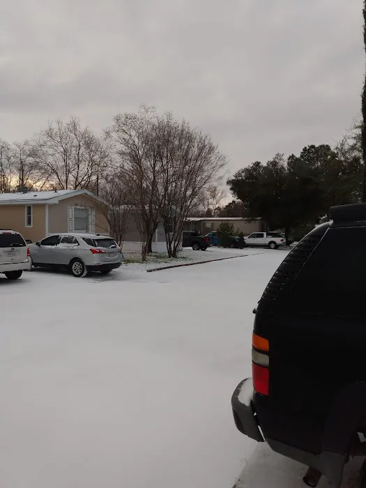 Western Pines Picture 3