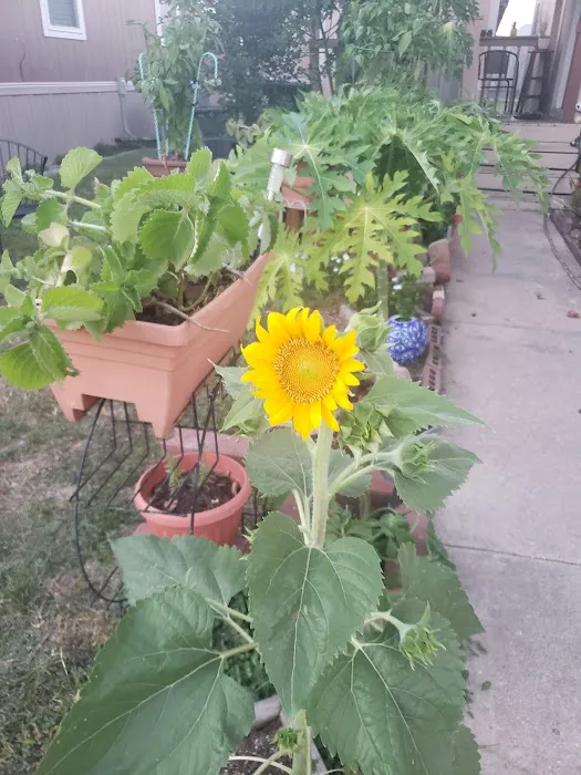 Hunters Place Picture 4