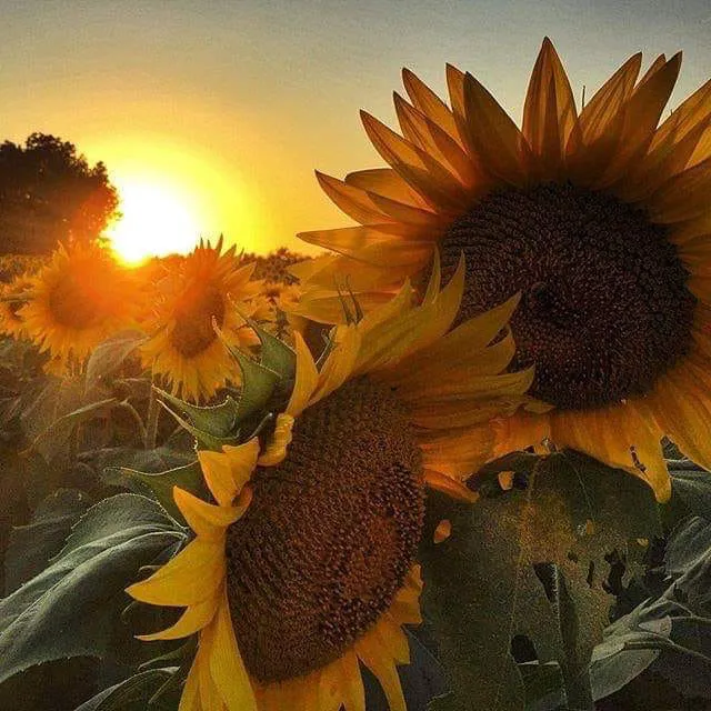 Hunters Place Picture 8