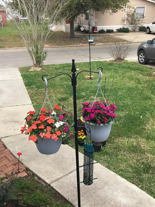 Hunters Place Picture 6