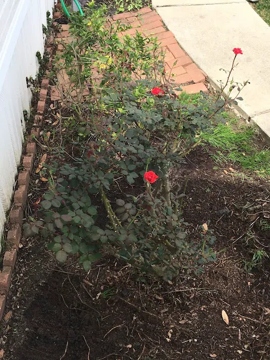 Hunters Place Picture 10