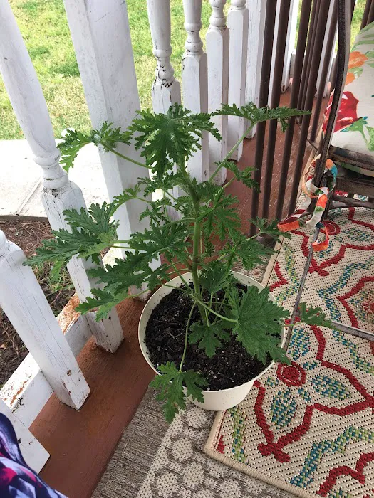 Hunters Place Picture 9