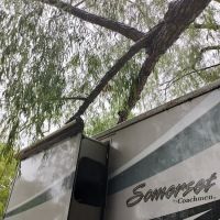 Cinco Ranch RV Park ico