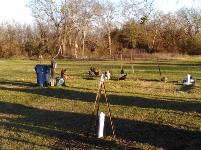 East Texas RV Park Picture 9