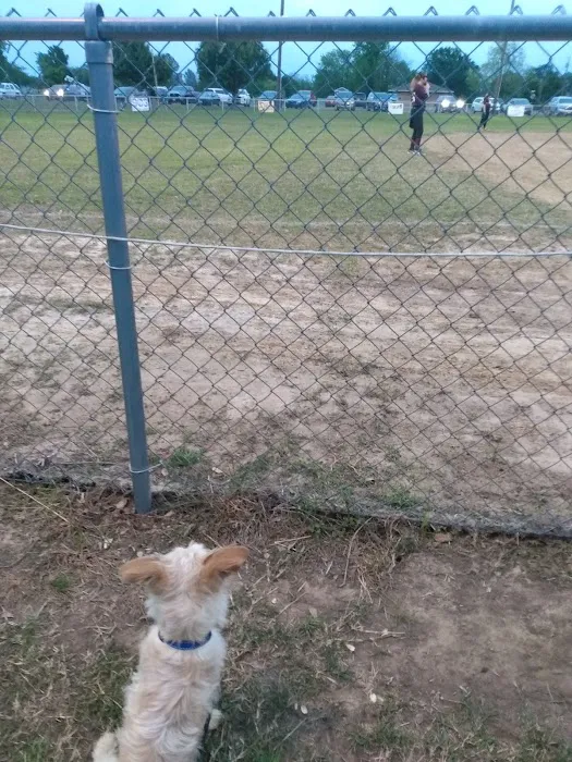 Five Star Mobile Park Picture 3