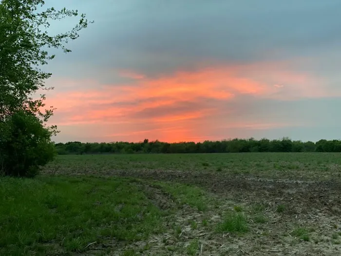 Farm View RV Park Picture 10