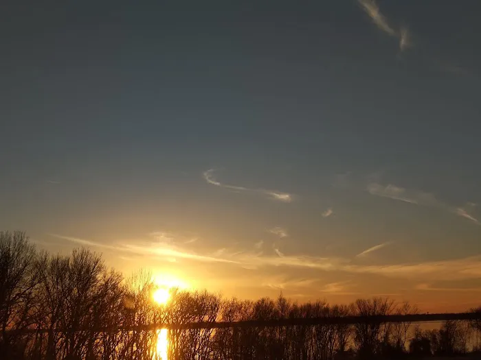 Crossed Palms Picture 3