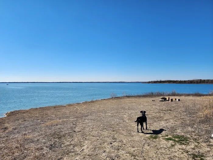 Crossed Palms Picture 8