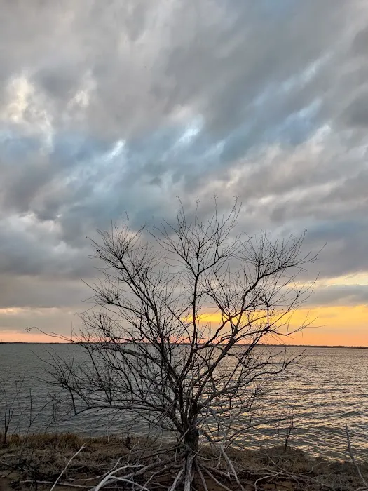 Crossed Palms Picture 9