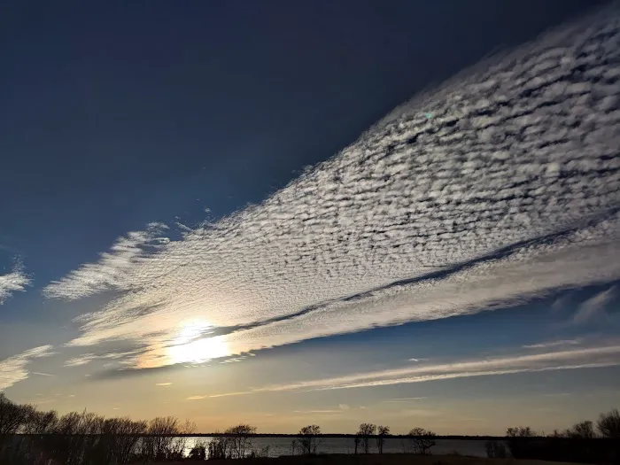 Crossed Palms Picture 6