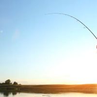 Triple Creek RV Park, Fishing & Wildlife - Caddo Mills/Greenville ico