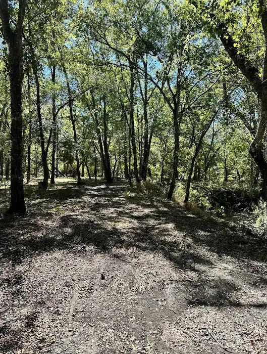 Triple Creek RV Park, Fishing & Wildlife - Caddo Mills/Greenville Picture 8