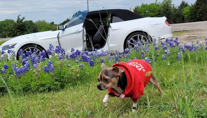 Town & Country Estate Picture 1