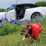 Town & Country Estate