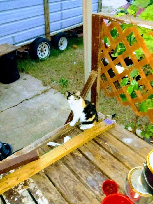 Town & Country Estate Picture 4