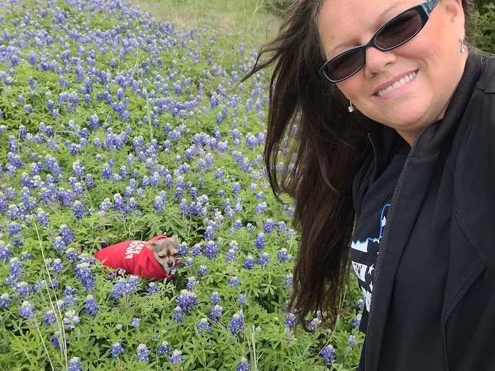 Town & Country Estate Picture 10