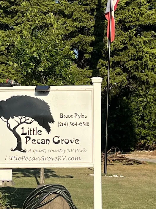Little Pecan Grove RV Park Picture 5