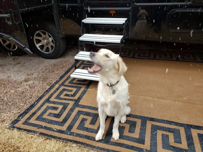 RV Villas on Lake Lavon Picture 5