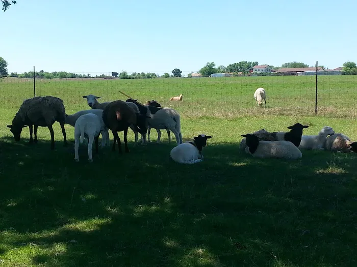 Flat Creek Farms RV Resort Picture 1