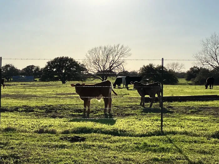 Highway 77 RV Park Picture 3