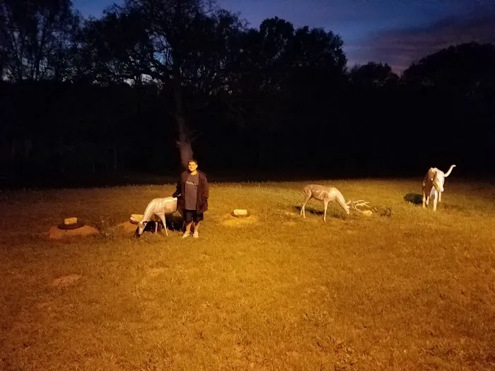 Central Texas RV Park Picture 4