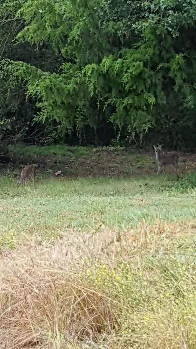 Central Texas RV Park Picture 6
