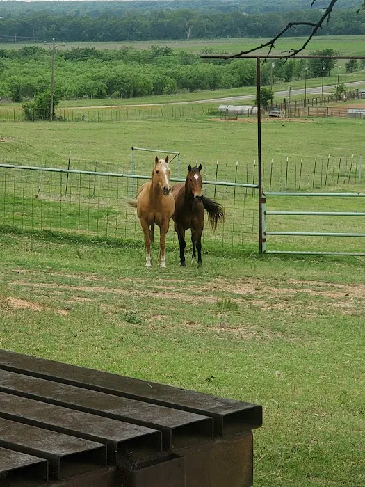 Helm Ranch RV Park Picture 5