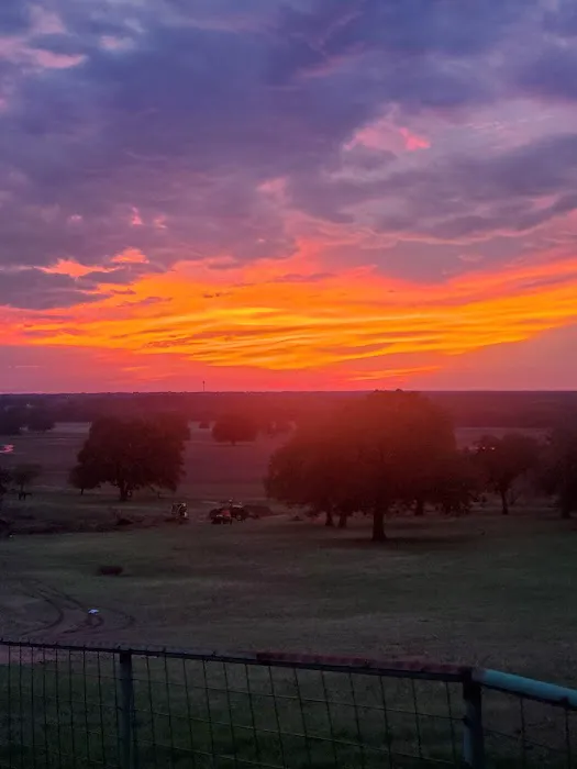 Helm Ranch RV Park Picture 7