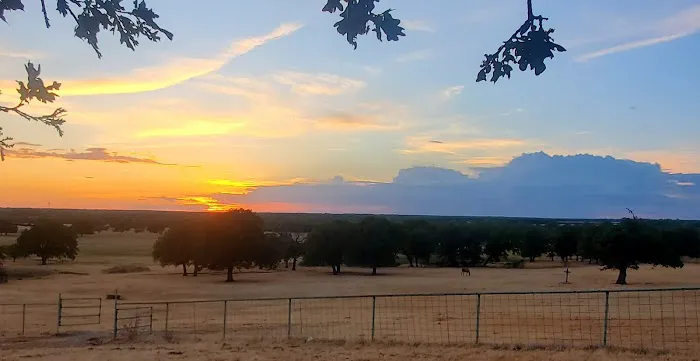 Helm Ranch RV Park Picture 4