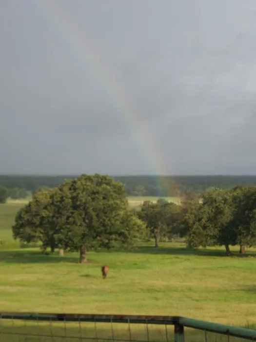 Helm Ranch RV Park Picture 8