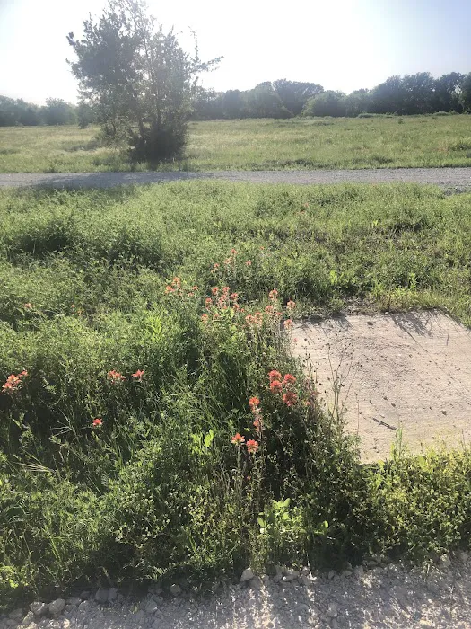 Texas Sage RV Park Picture 5