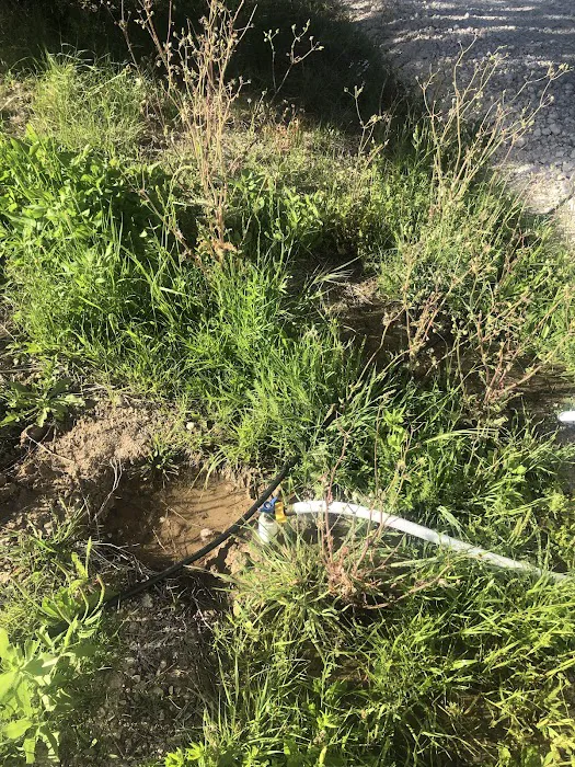 Texas Sage RV Park Picture 7