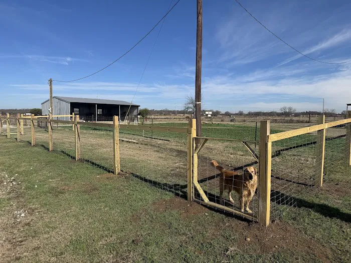 933 RV Park Picture 4