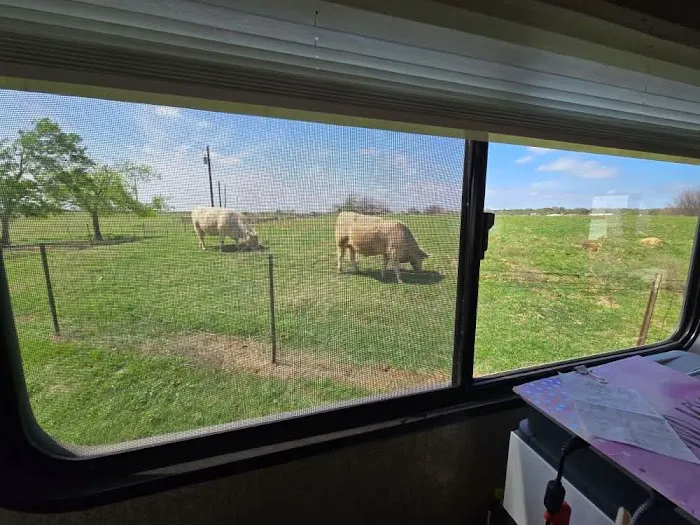 933 RV Park Picture 9