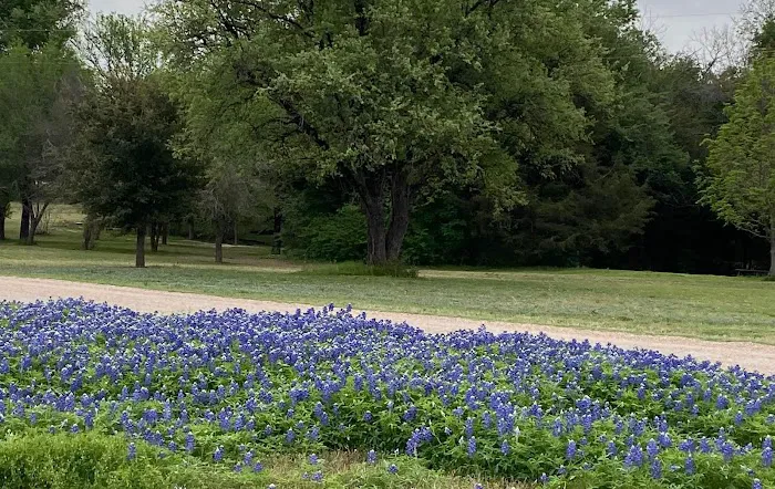 Brazos River RV Park Picture 10