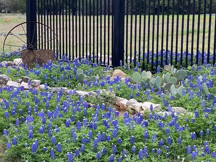 Brazos River RV Park Picture 6