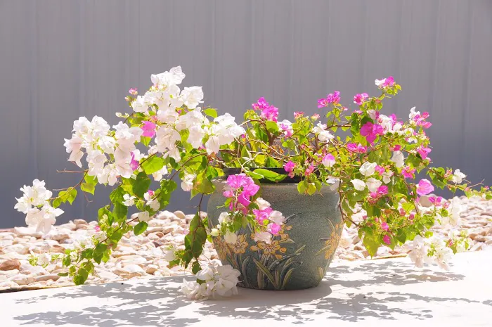 Fox Run RV Living LLC Picture 3