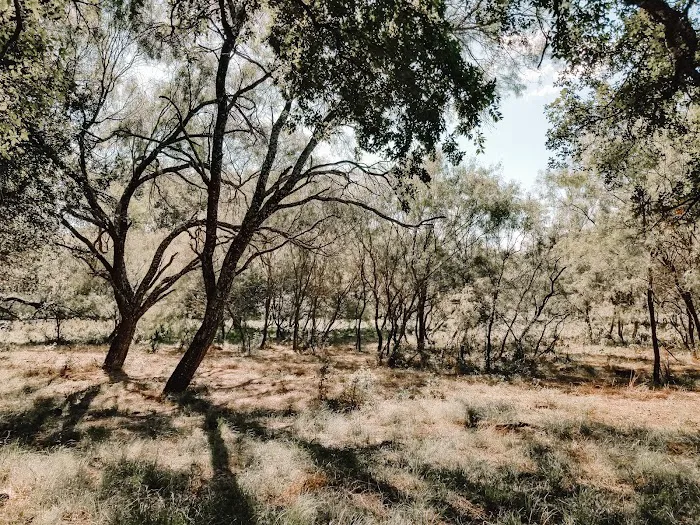 Oasis RV Park & Campground Picture 4