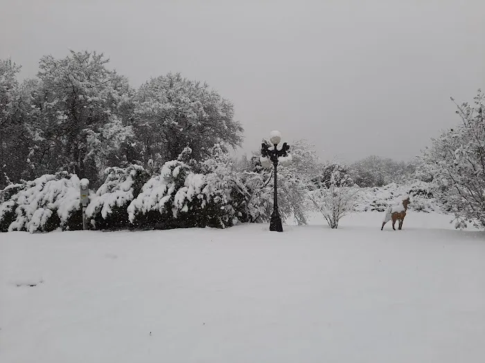 Lil Bit Country RV Park Picture 7