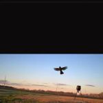 Whitney Willow RV Park