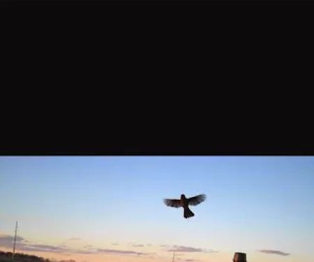 Whitney Willow RV Park