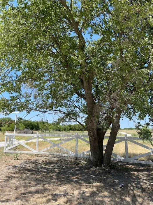 Whitney Willow RV Park Picture 6